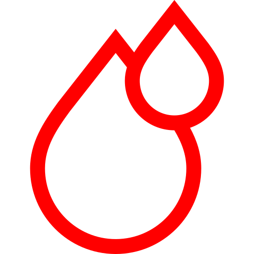 Organic Spice & Edible Oil Industry